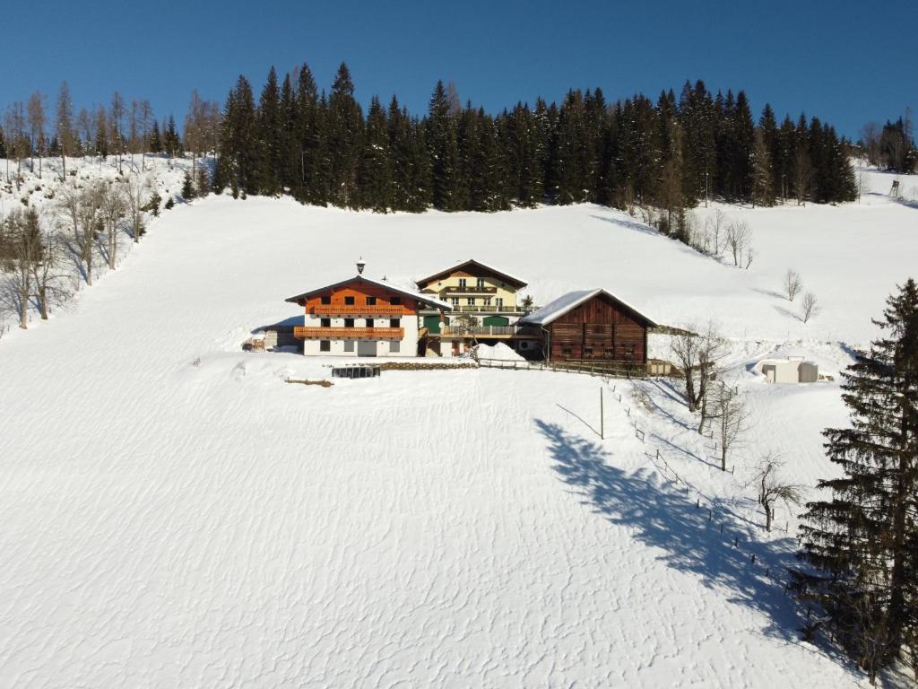 Klammgut