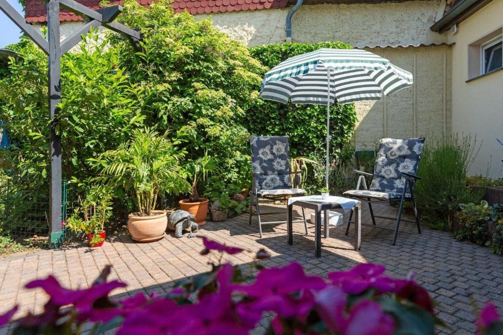 Appartement in Süd - b48524