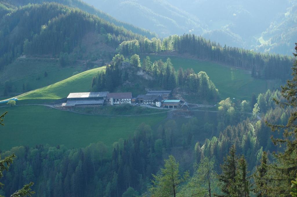 Biohof Sattler