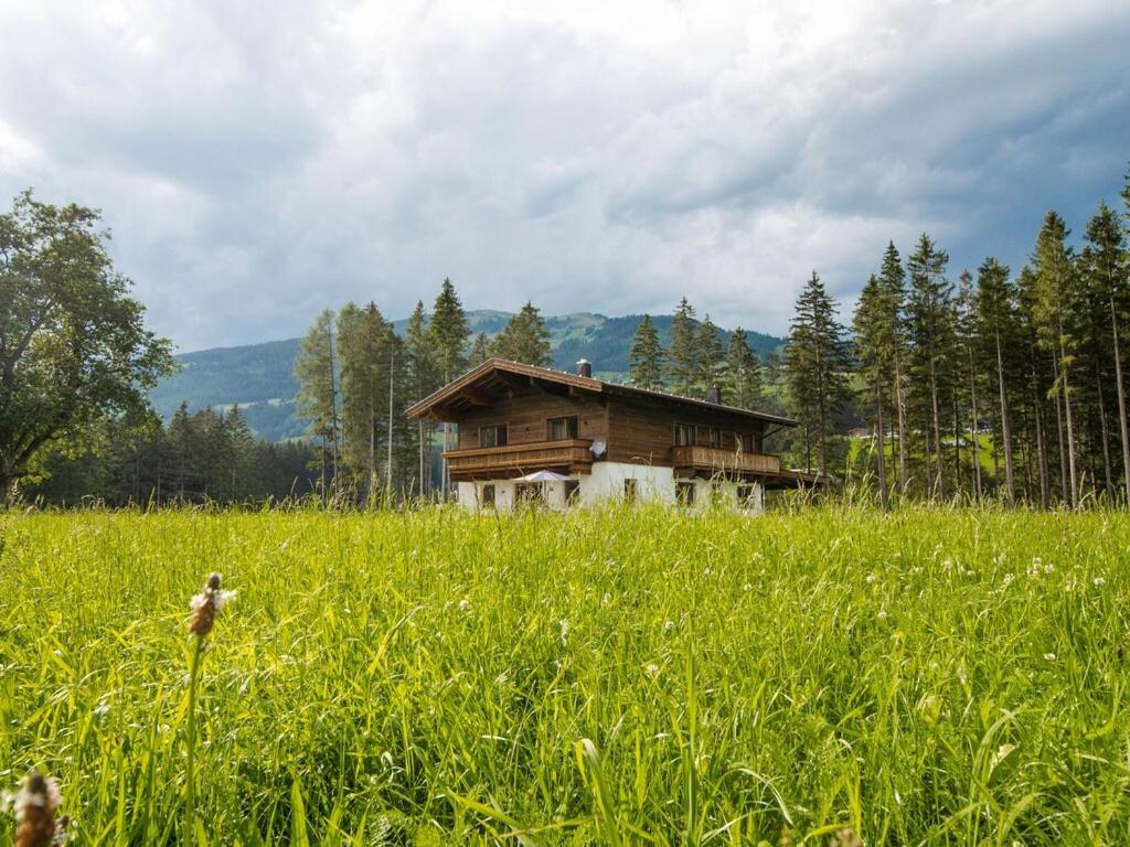 Chalet Freiblick Kleinhaid, Hollersbach