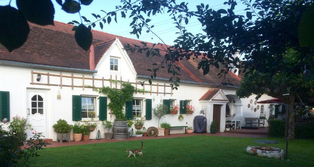 Bed & Breakfast Chez Lips