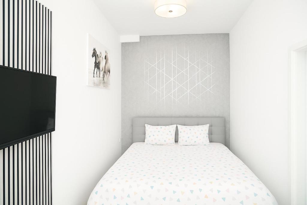 City Flat D