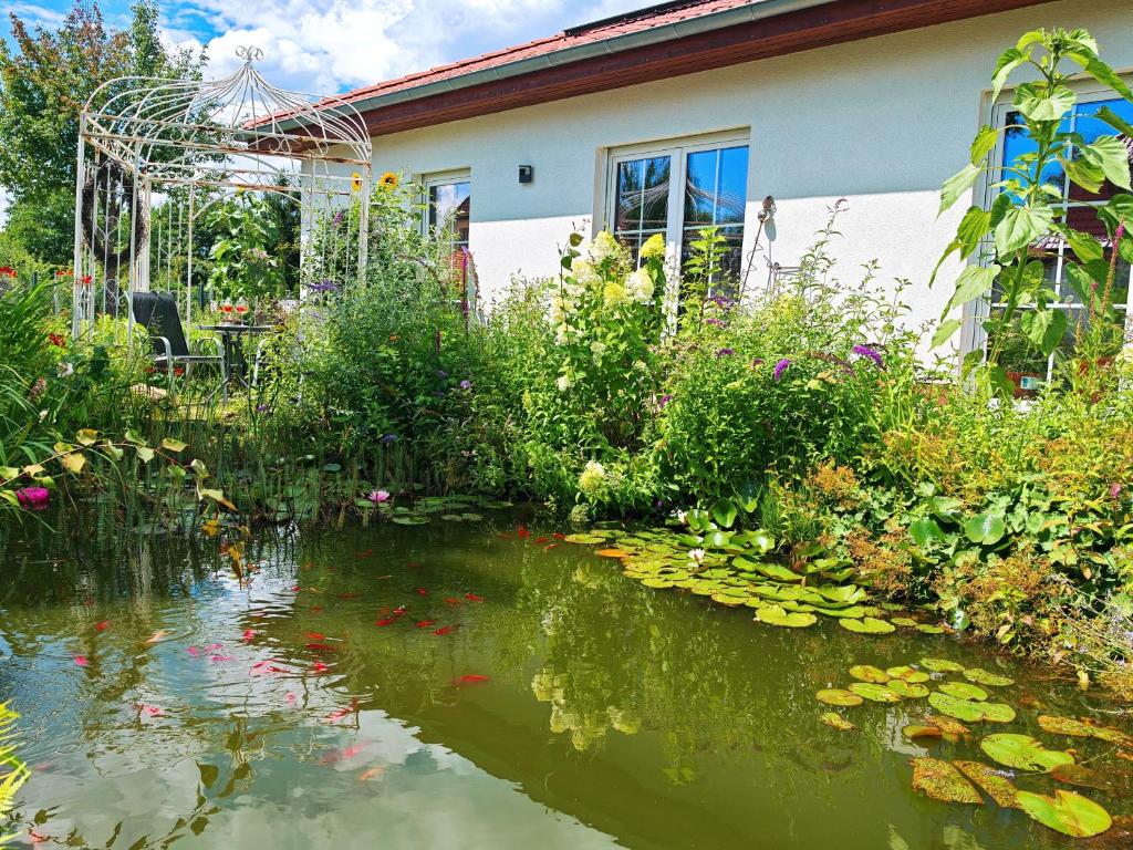 Domizil am Branitzer Park
