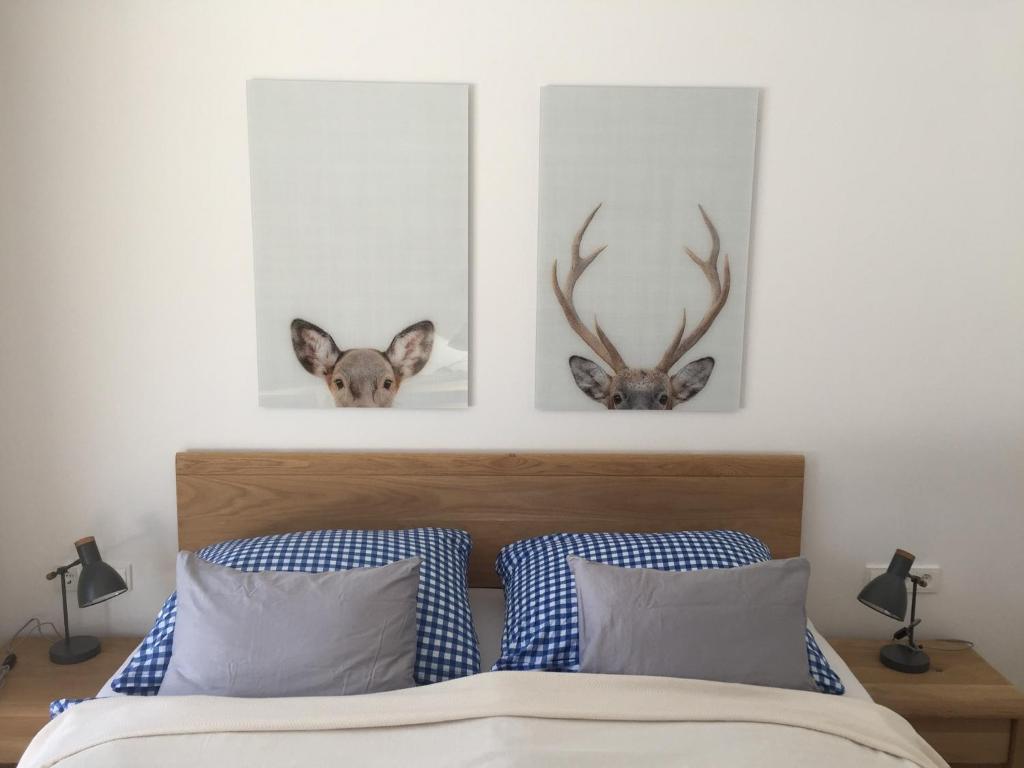 Privatwohnung am Prielerweg in Hinterstoder
