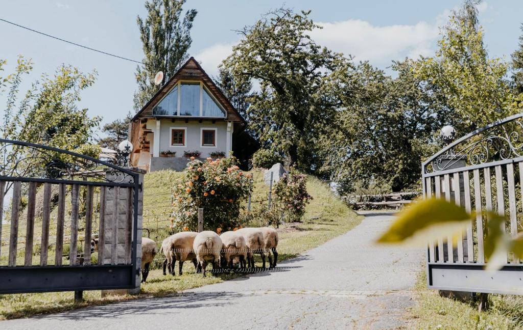 Ferienhaus am HerbstHof
