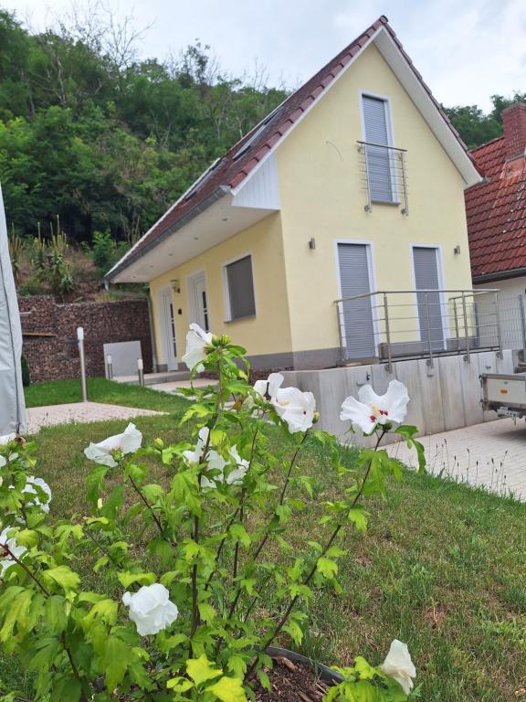 Ferienhaus Saaleblick
