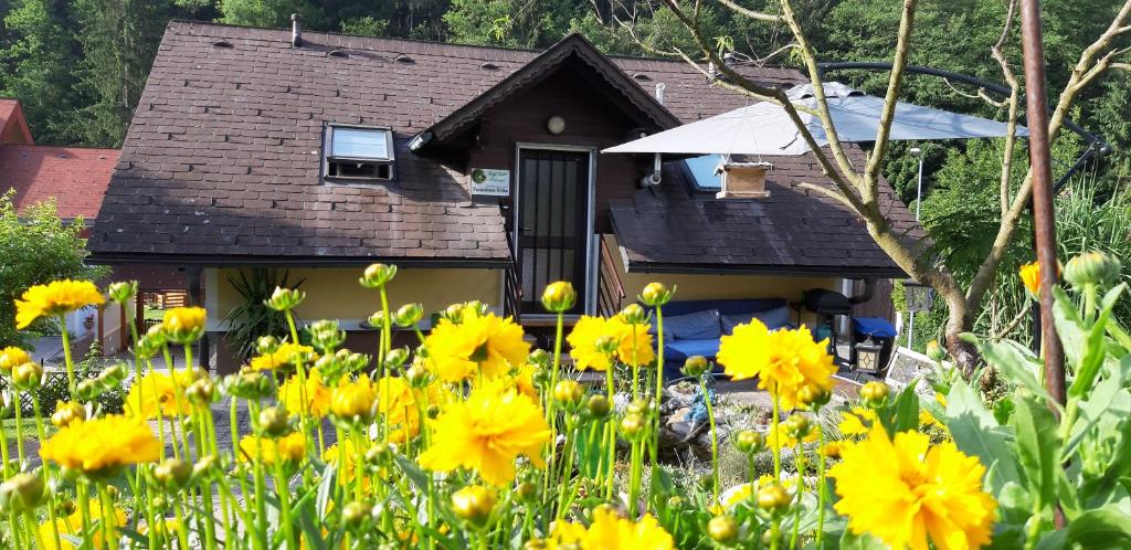 Ferienhaus Erika