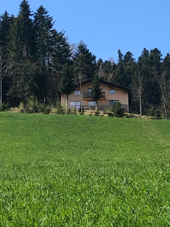 Ferienhaus am Waldrand von Egg Bregenzer Wald