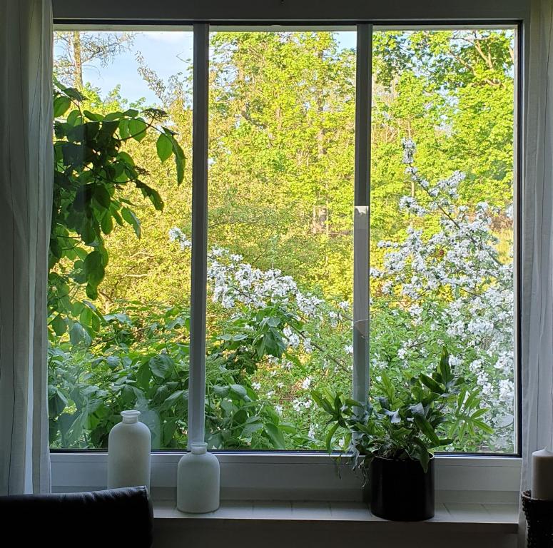 Ferienwohnung Heusler