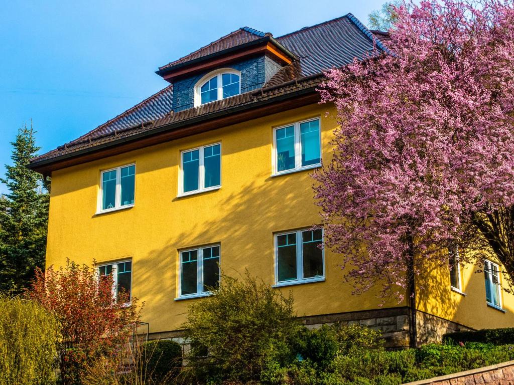 Apartment with sauna in Schönbrunn Thuringia