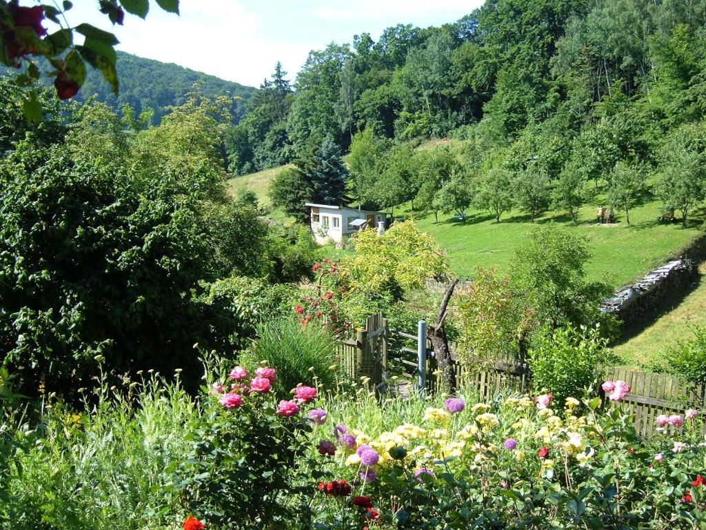 Ferienwohnungen "allerleigrün"