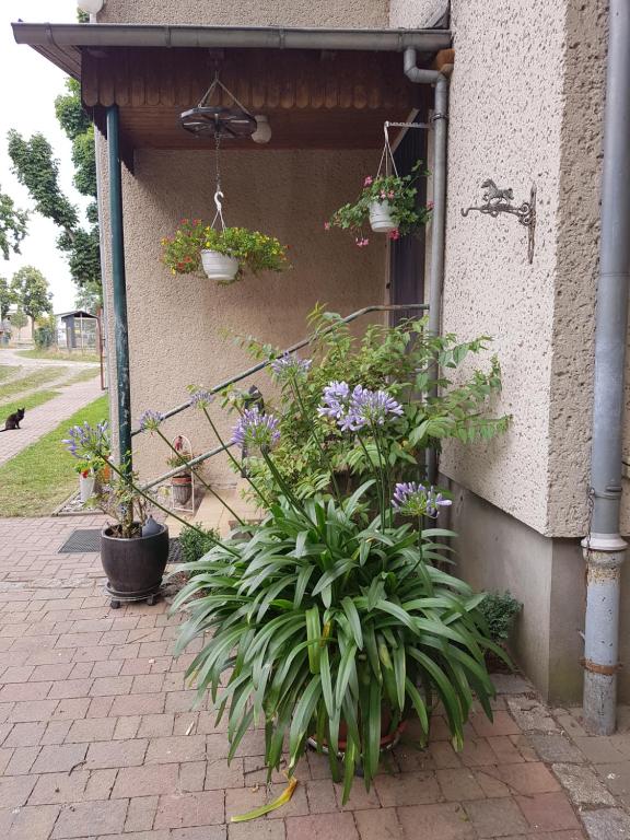 Ferienwohnung Siebmann