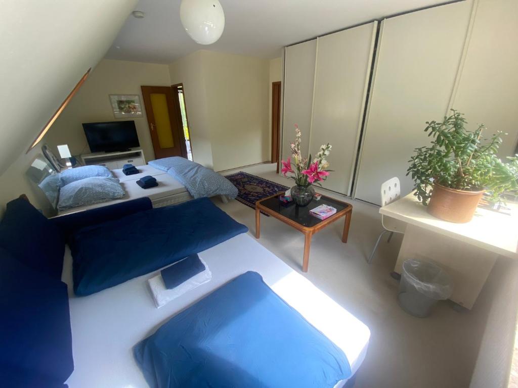 Gartenblick-Oase: Obergeschosswohnung in Hamburg