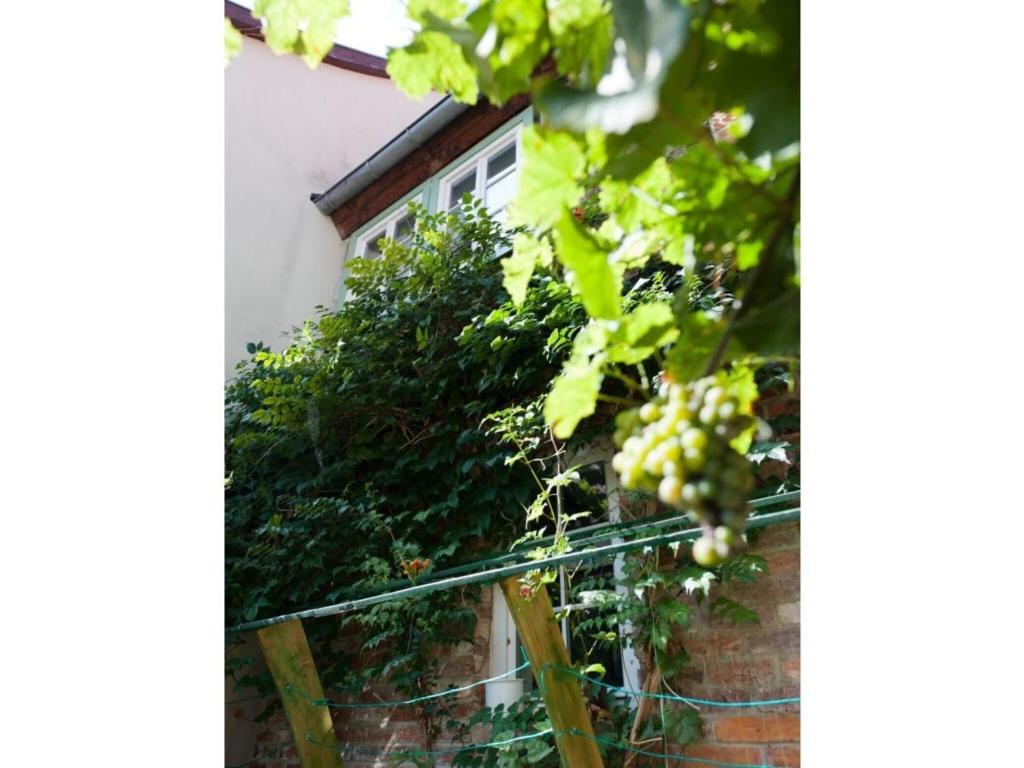 Lovely apartment in Quedlinburg