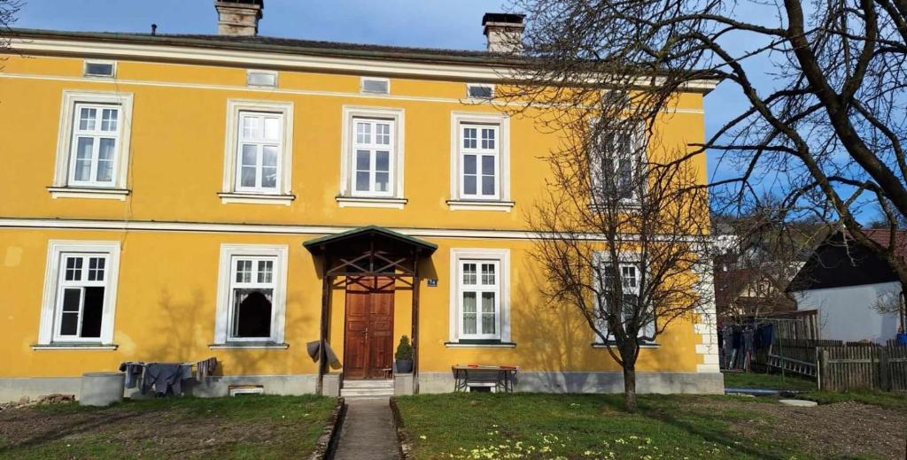 Löwenzahn
