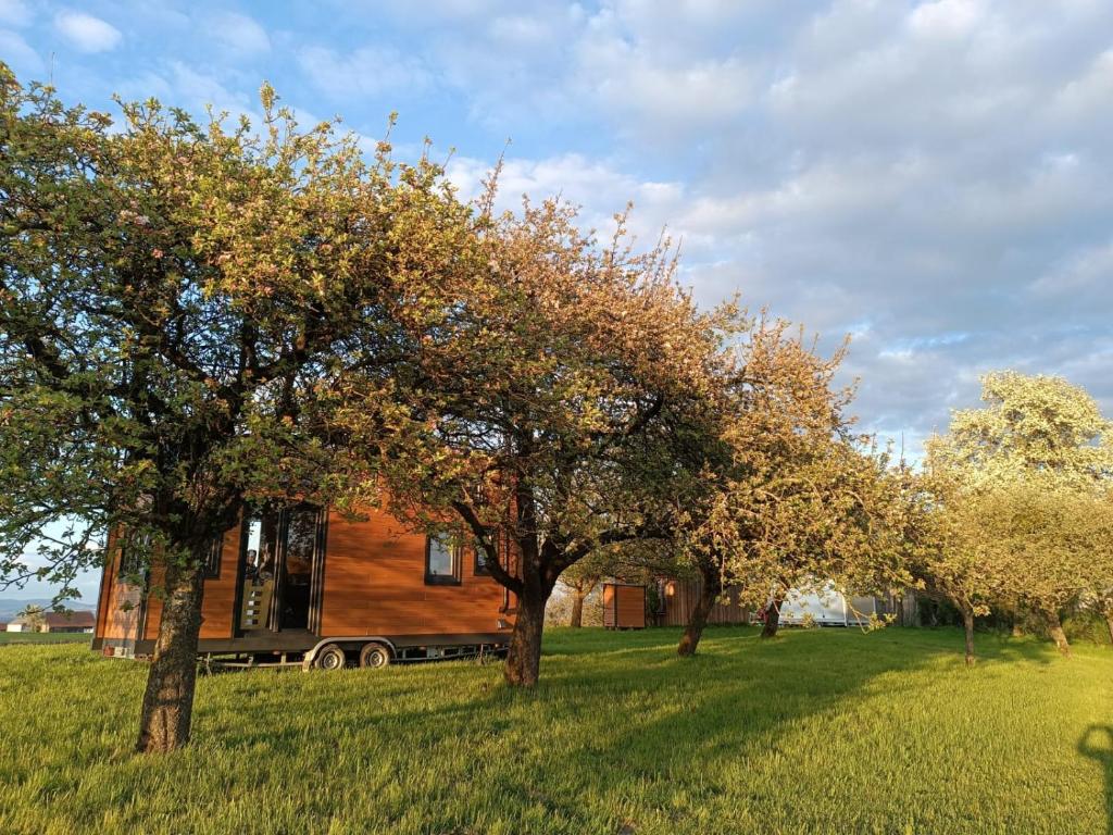Mobile Tinyhouse by Wolfsberger