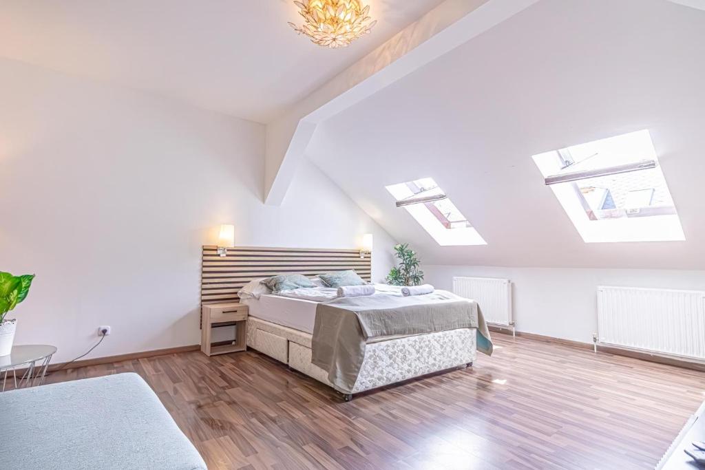 Spacious 3BR Shared Apt, Very Central in Vienna