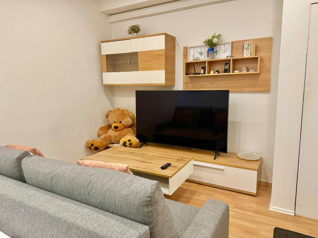 Spacious Stone Central Apartment