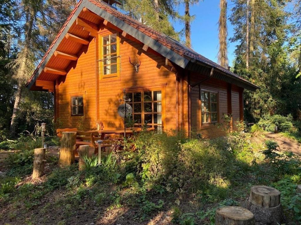 Waldhaus Eichhörnchen, exklusiv - mitten in der Natur
