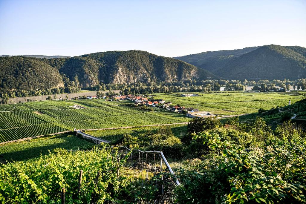 Winzerhof Mörtinger